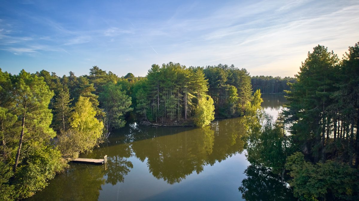 Aqua Mundo Center Parcs Les Hauts de Bruyères