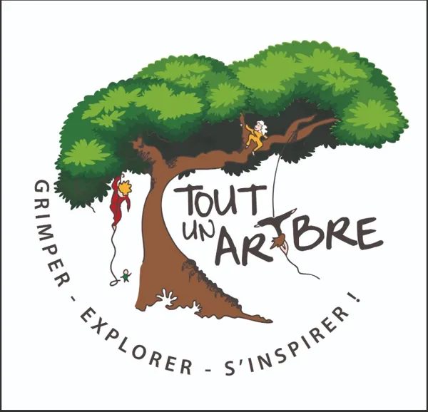 Tout un Art'bre : Grimpe d'Arbres