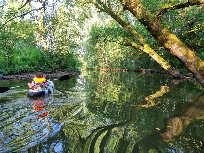 Location de kayaks au moulin de Vilaine