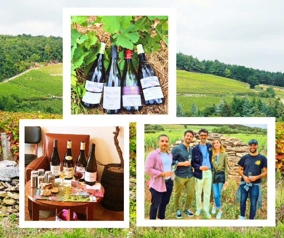 Clos de bourgogne, découverte des Secrets des vins de Bourgogne