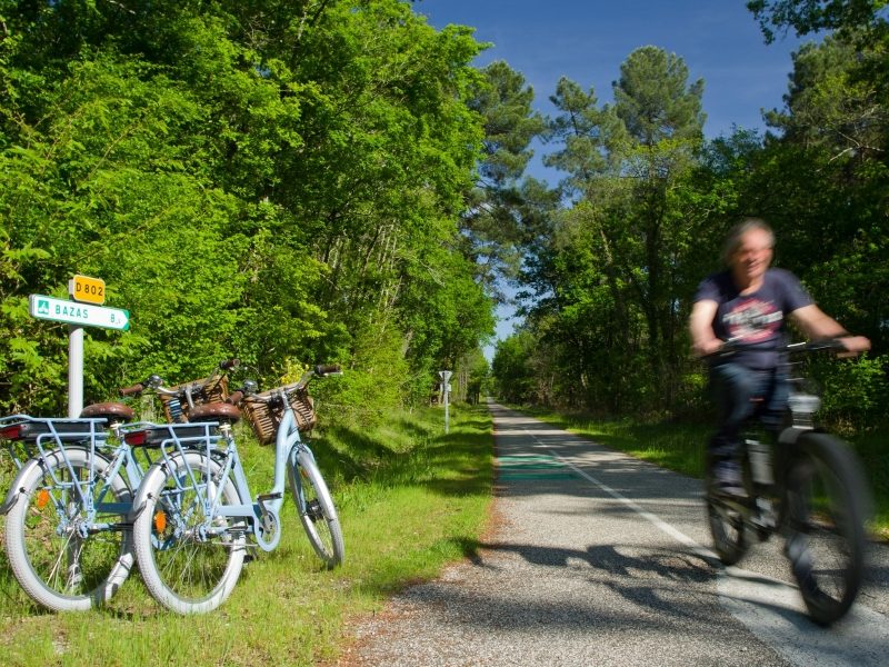 Les Cycles du Bazadais