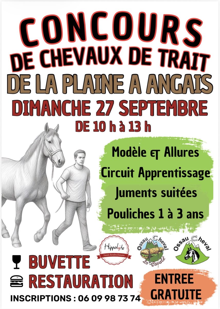 Concours de chevaux de trait de la plaine