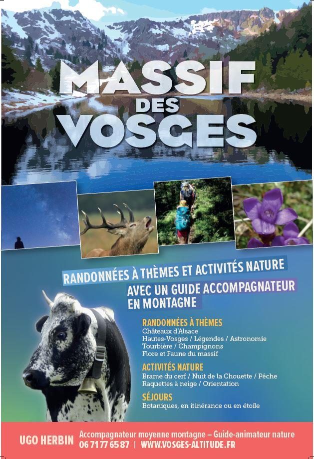 Vosges Altitude - Accompagnateur en montagne