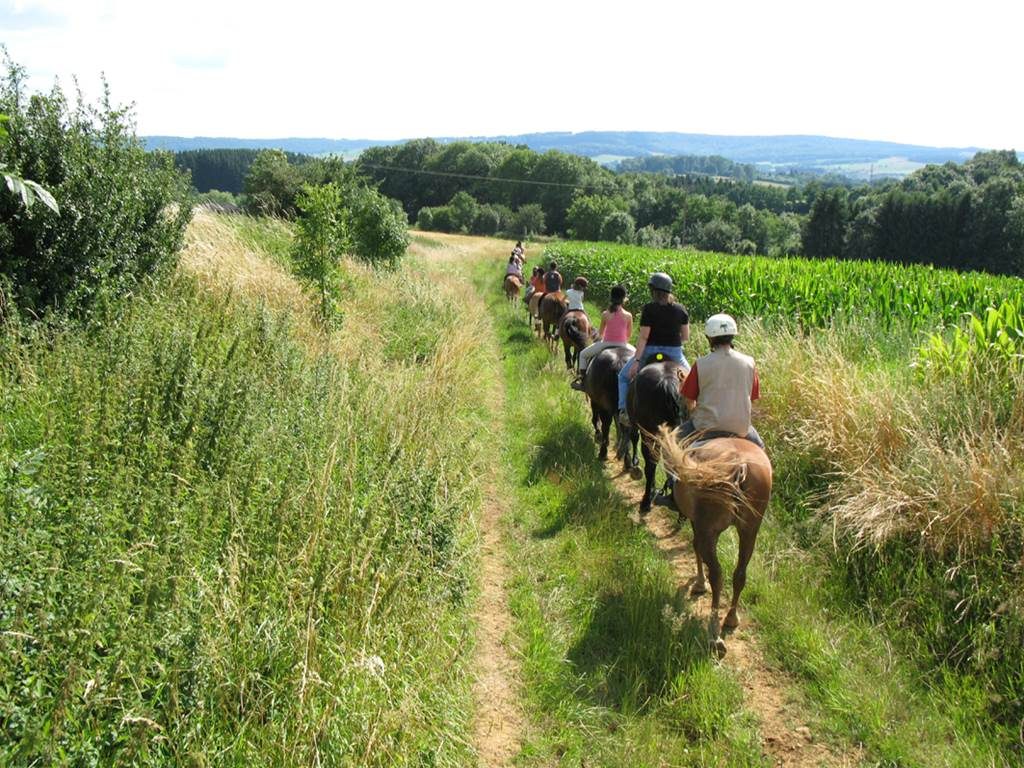 Ferme équestre de la Chenaie