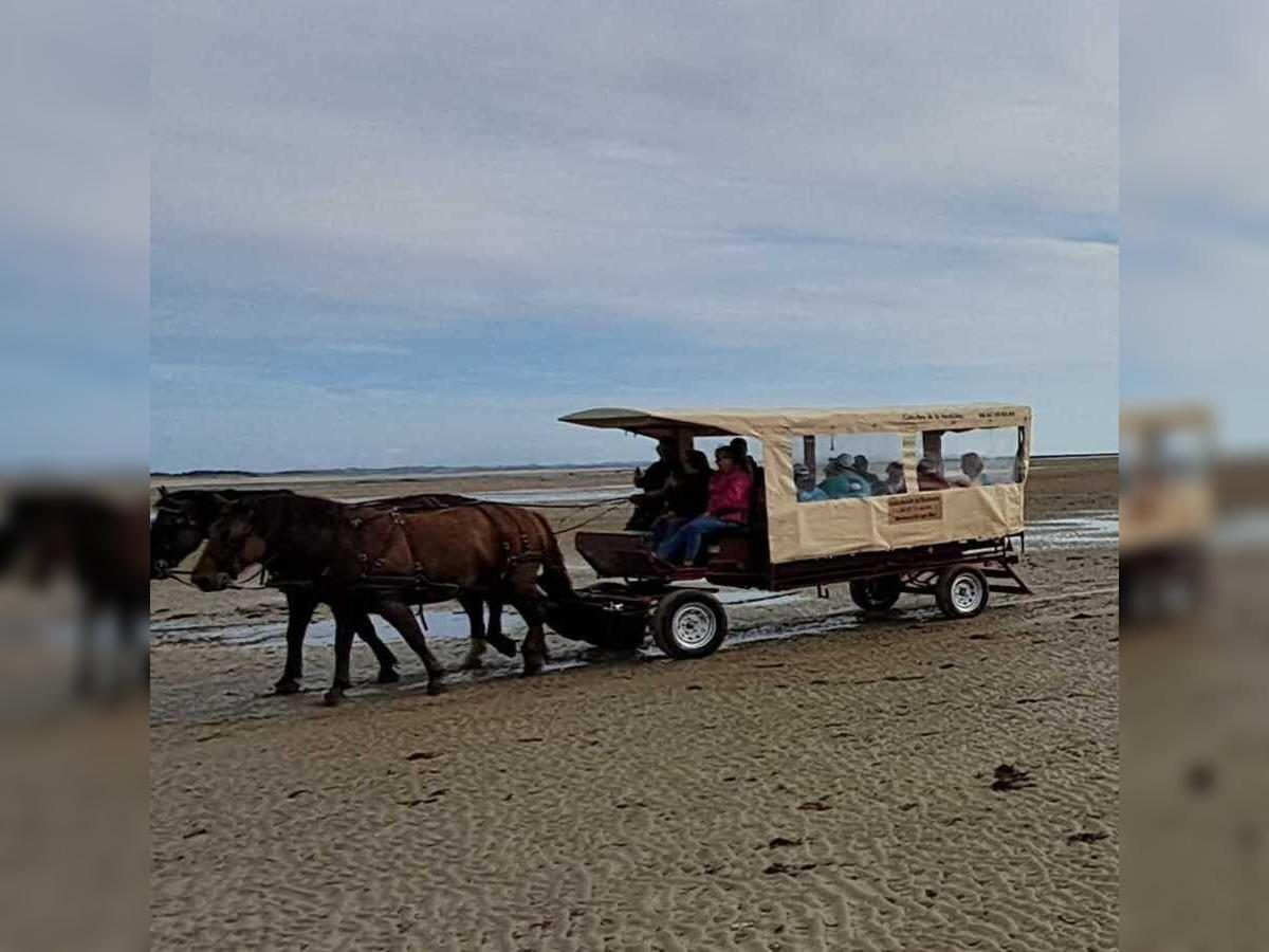 Découverte de la Pêcherie "La Maillard" en calèche