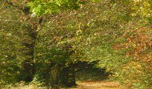 Arboretum forestier des Deux-Sèvres