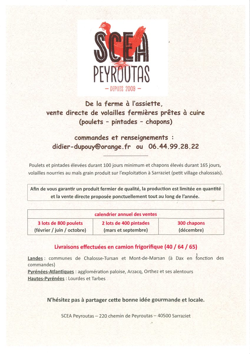 SCEA Peyroutas