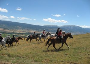 EQUI LIBRE