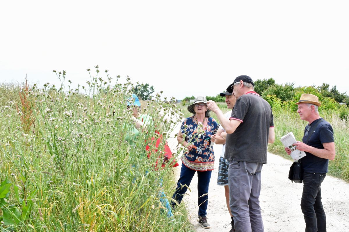 Sorties découverte en vallée du Loir