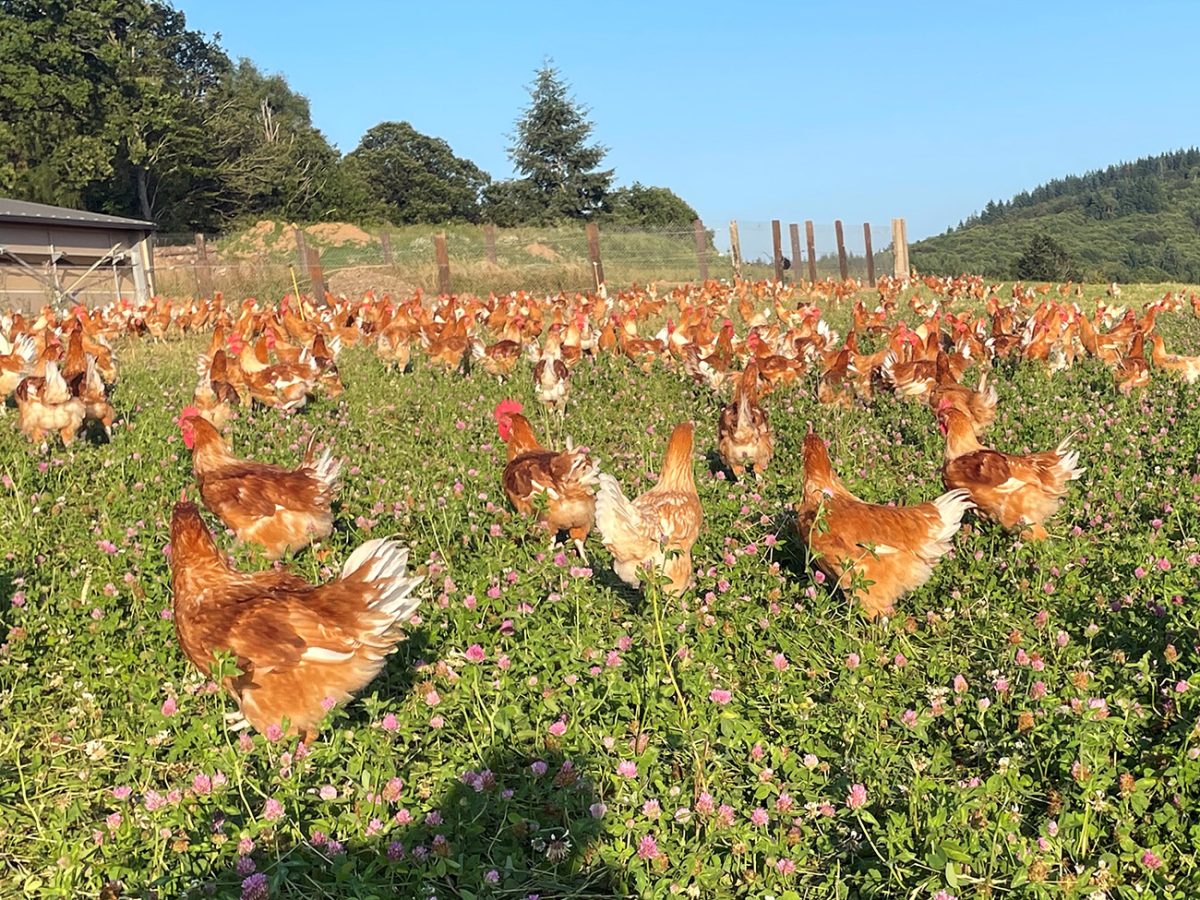 Ferme la Ribière