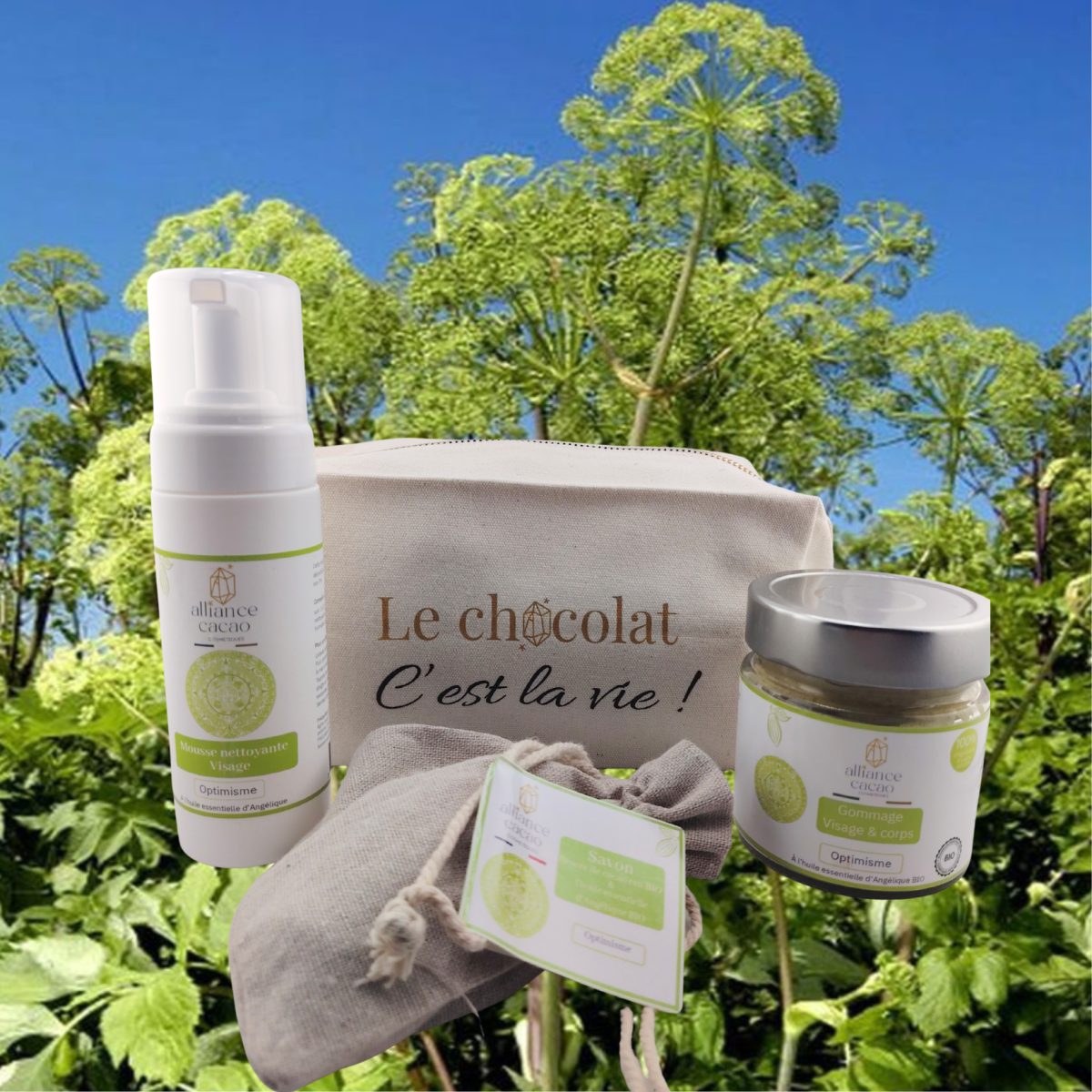 Alliance cacao - Créateur de cosmétiques à l'angélique