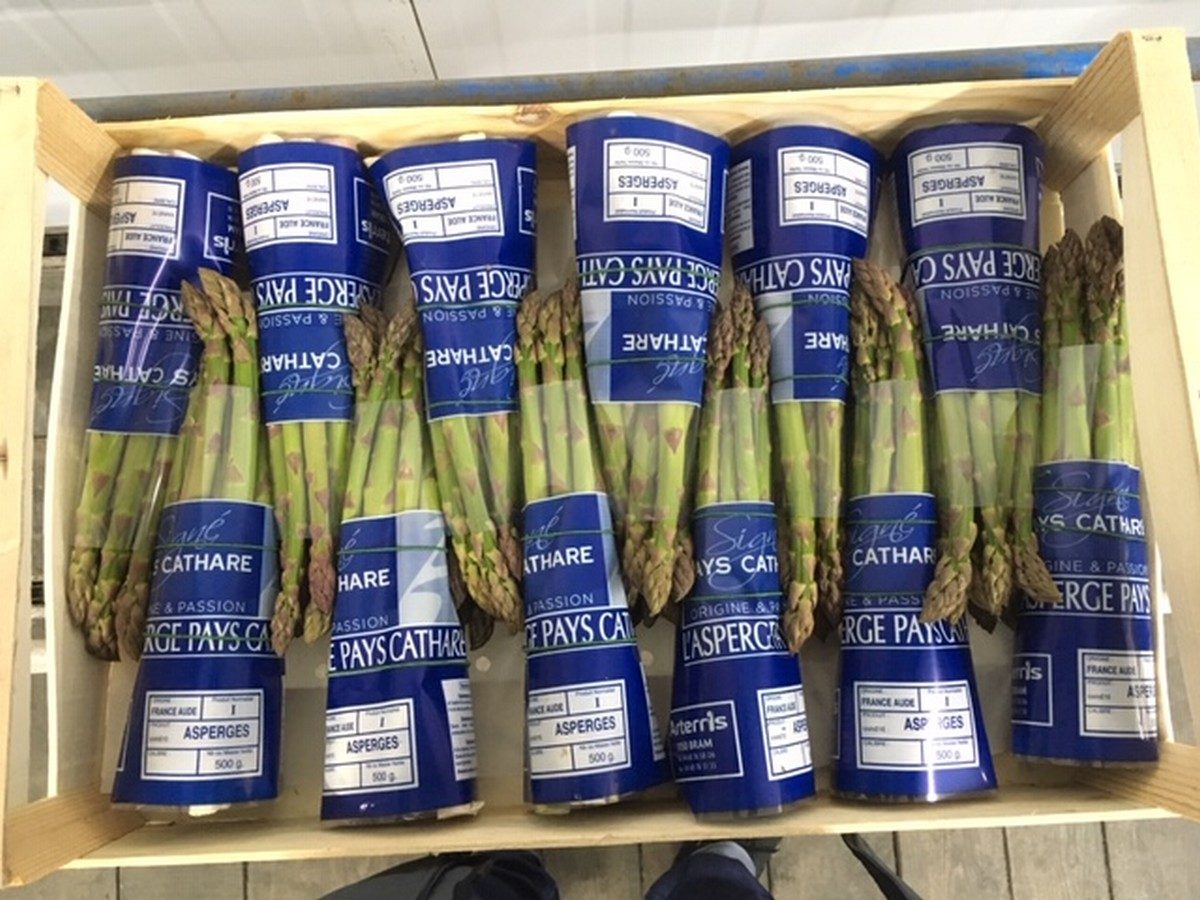 ARTERRIS STATION LÉGUMIÈRE ASPERGES