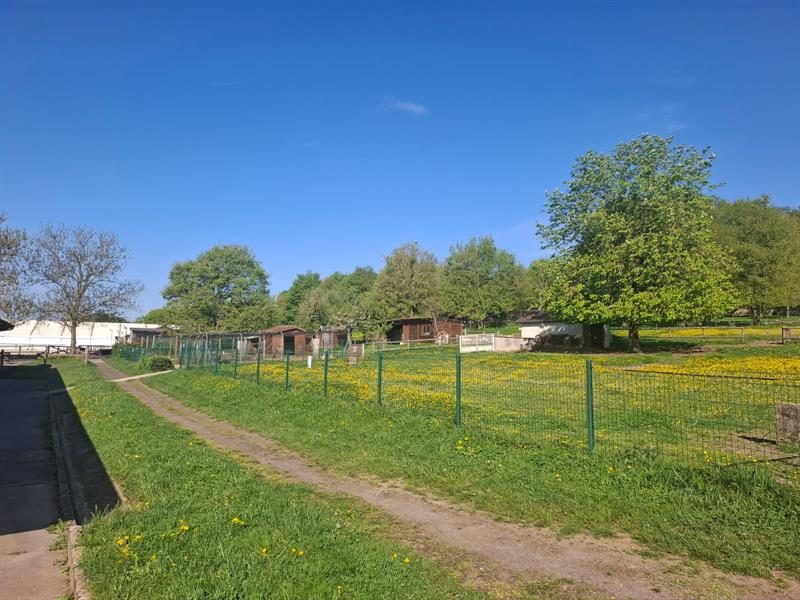 Centre de loisirs - Art sur Meurthe
