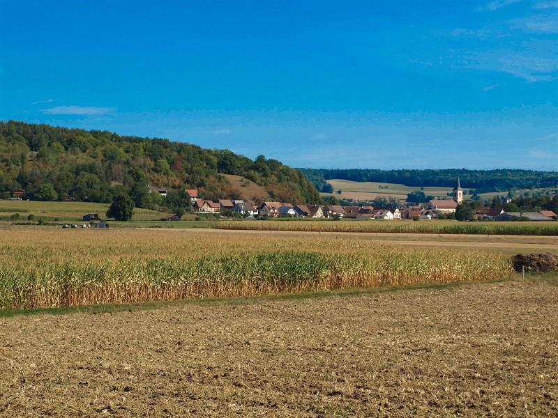 Ferme du Moulin Haut