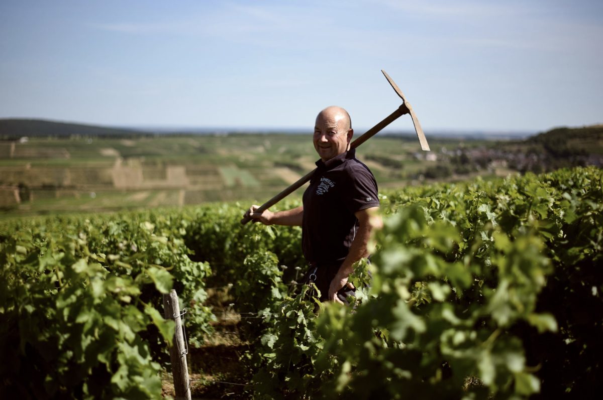 Domaine Fournier