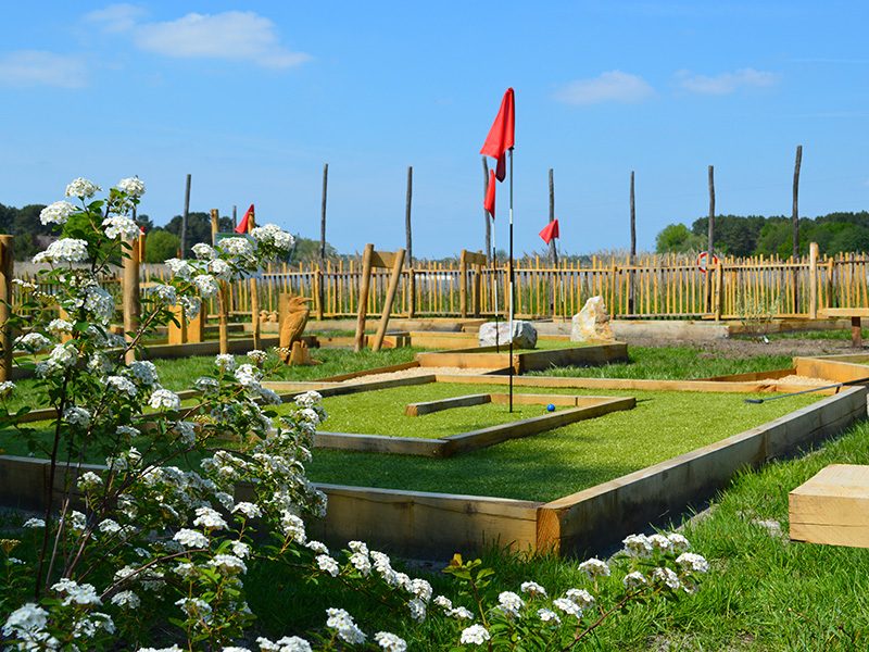 Mini-golf aux oiseaux