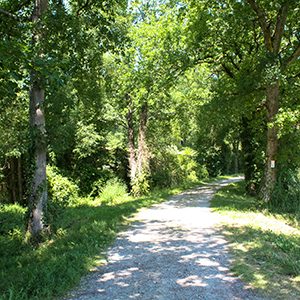 Parcours de Santé d'Eugénie les Bains