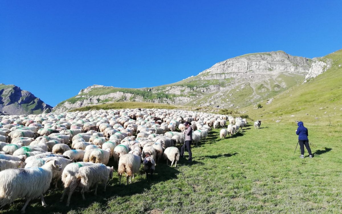 Ferme Barnetxia