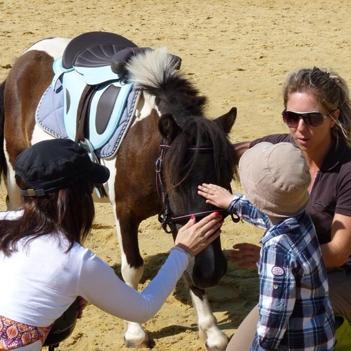 Le poney club d'Emilie