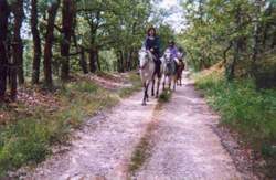 La Vallée des Châteaux à cheval - Poney Club
