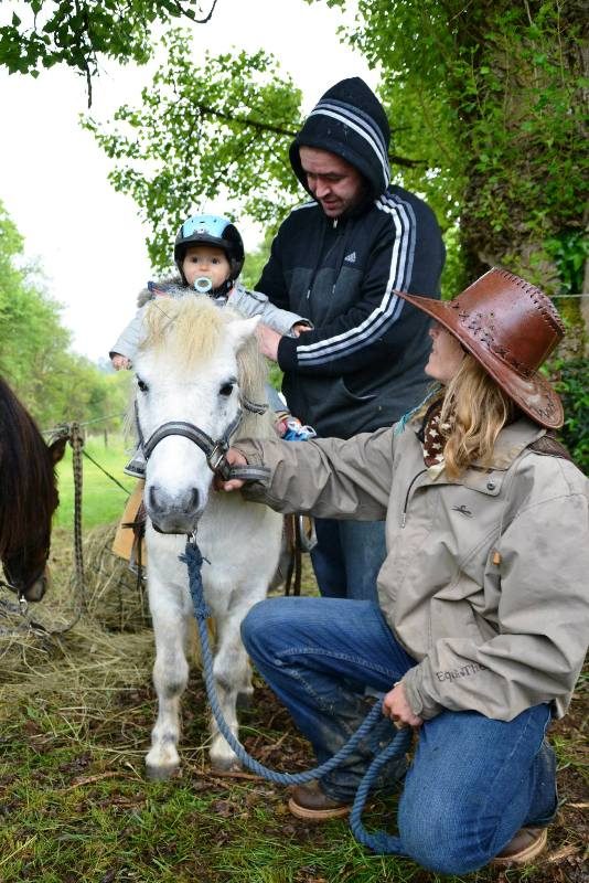 Au cheval qui brouste