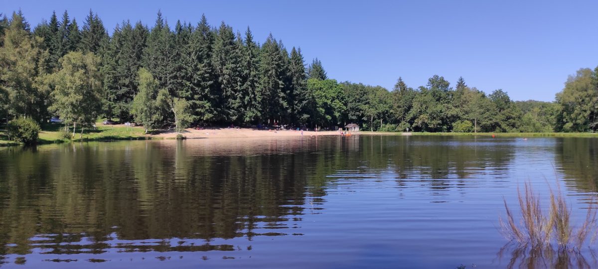 Etang de la Forêt