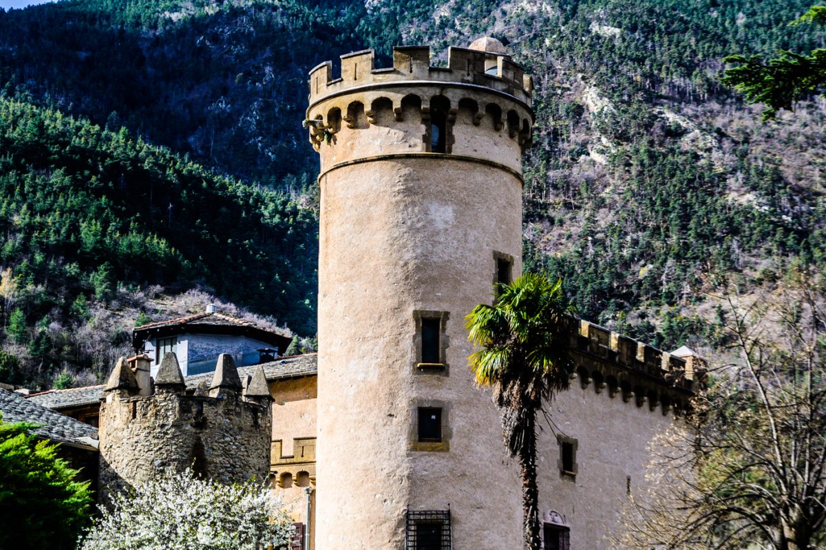 LE CHATEAU DE NYER