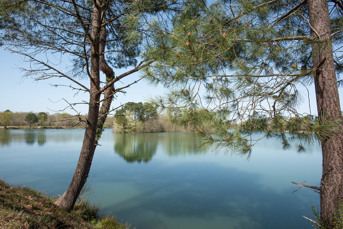 Pêche à l'étang de Bronturon
