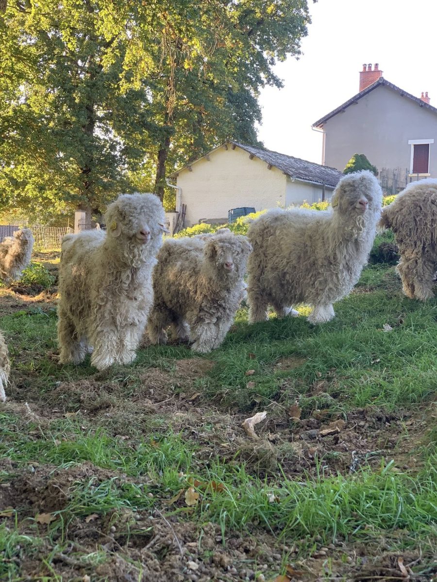 Création de son balai de sorcière au domaine D'Hestia