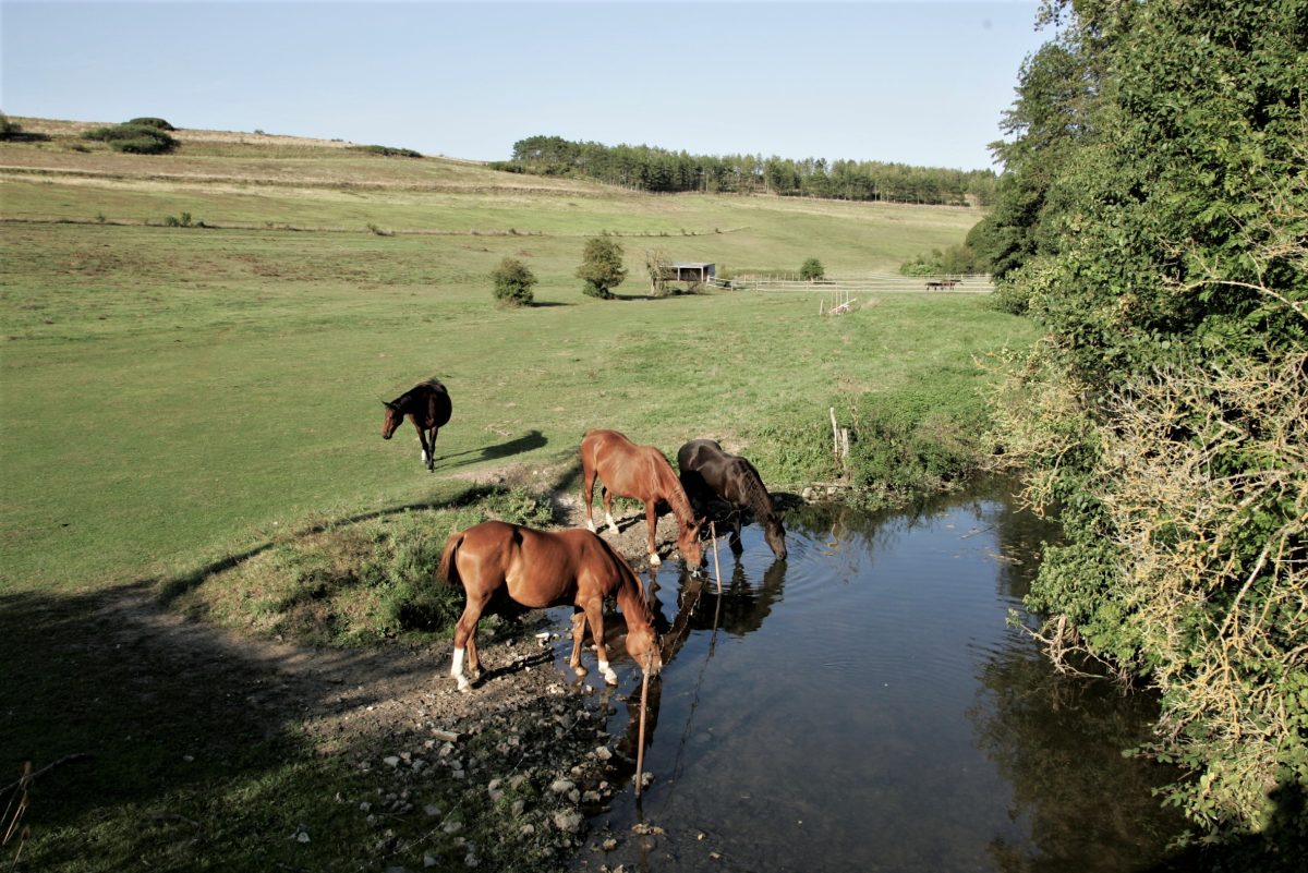 Les Ecuries de Cherisy
