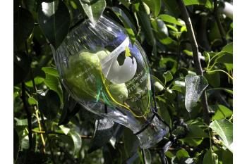 COVIFRUIT eau de vie et apéritif d'Olivet