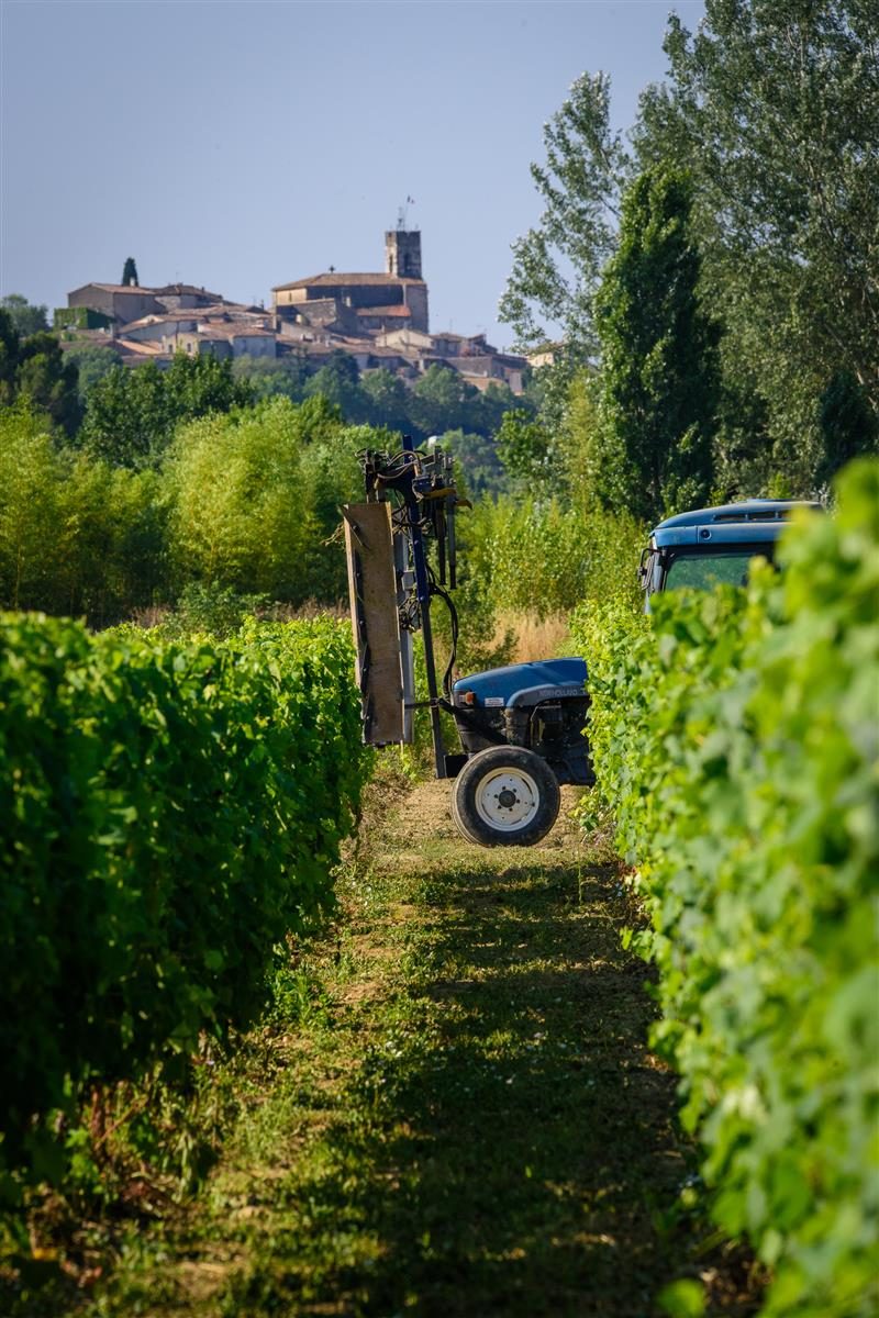 Domaine de Saint-Clément