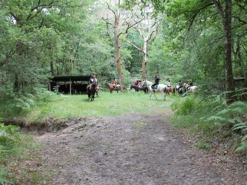 Poney-Club les Galop-pins