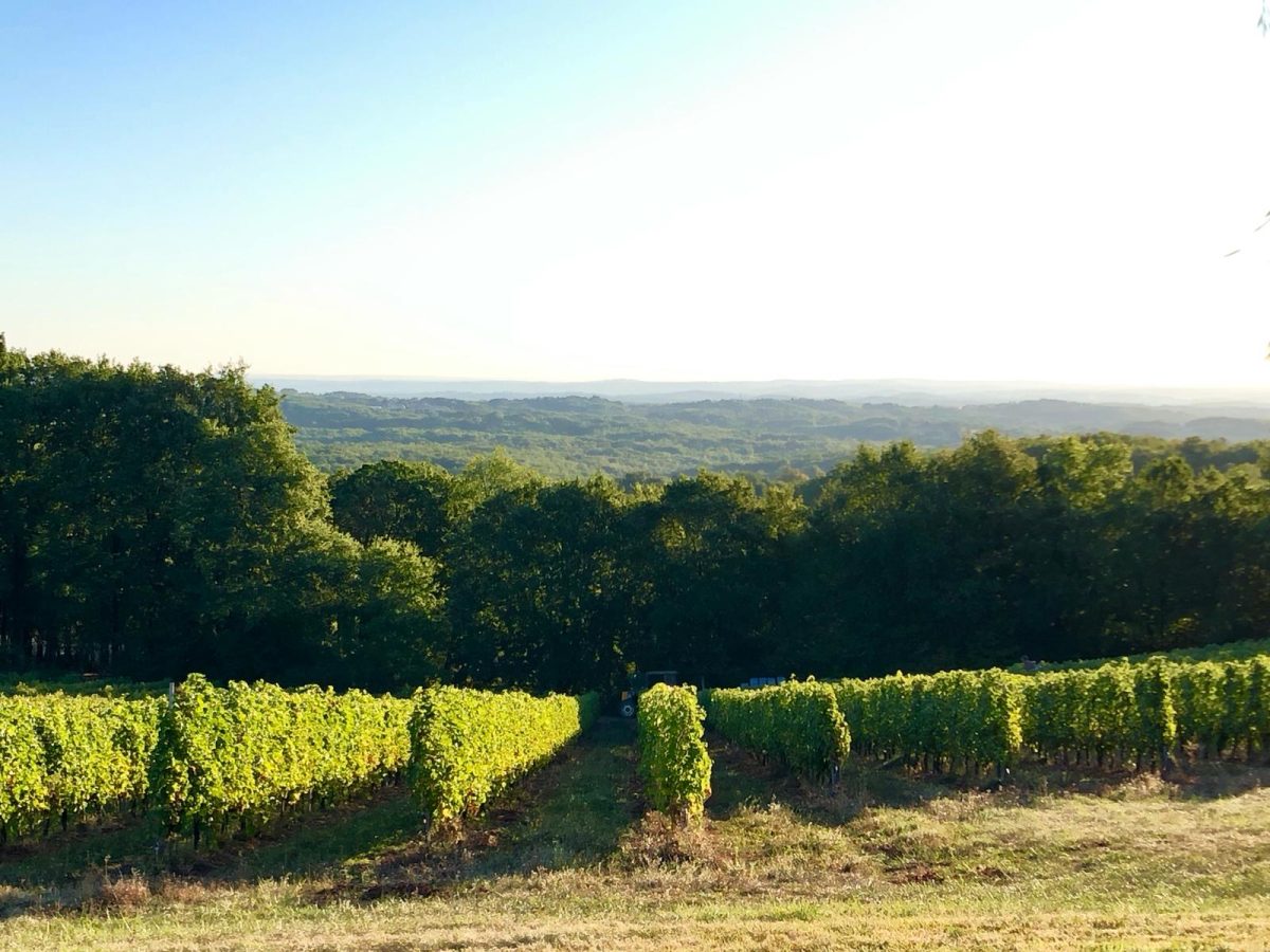 Domaine Chante l'Oiseau