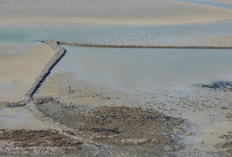 La Pêcherie du Plat Gousset - GRANVILLE 360° Visites guidées