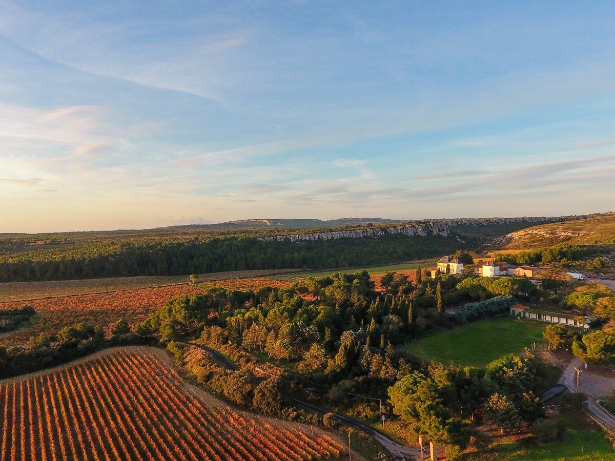 CHÂTEAU LA NEGLY