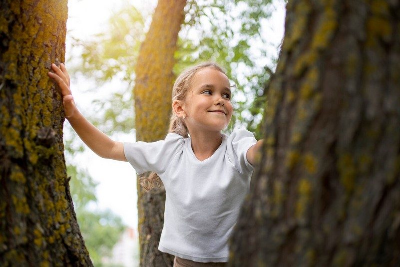 Ma forêt sensible