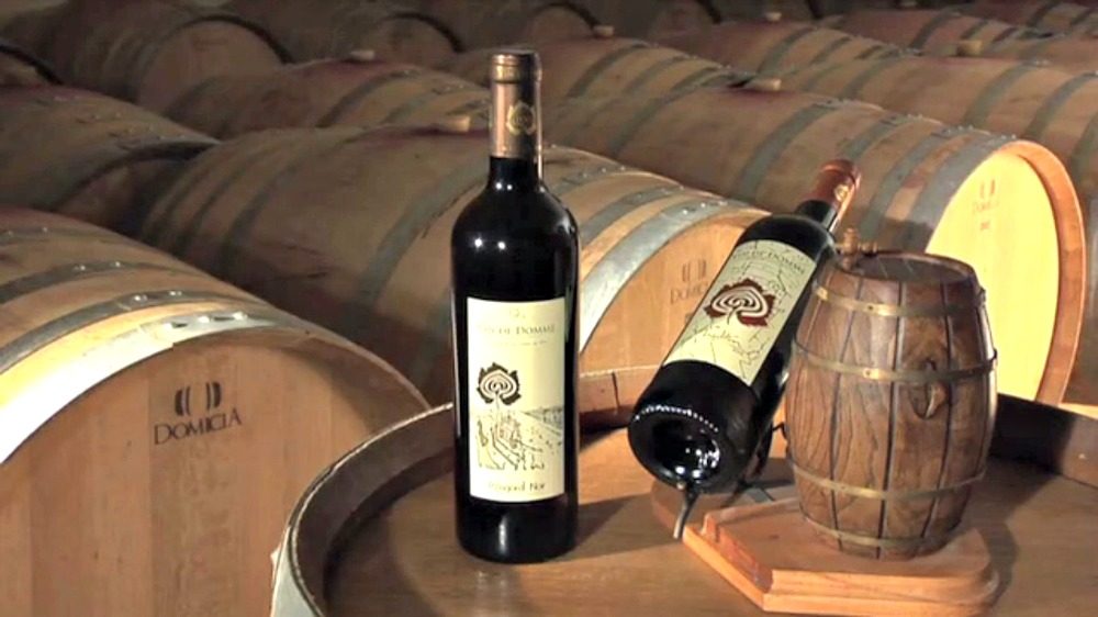Les Vignerons des coteaux du Céou