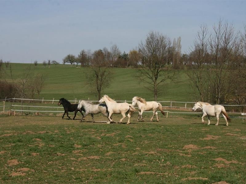La Ferme d'Epona