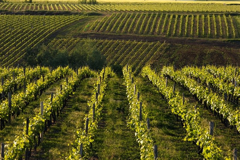 Domaine de Seresnes