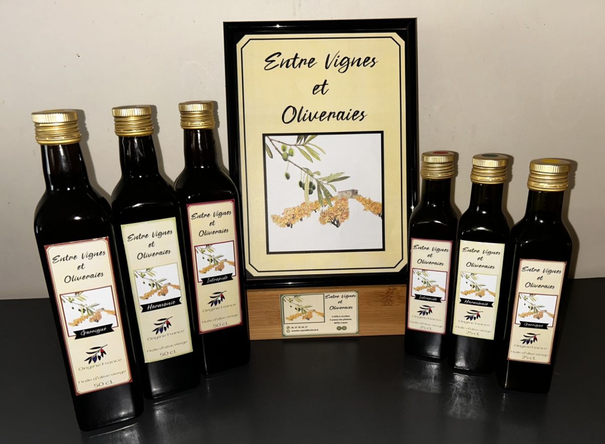 BALADE "ENTRE VIGNES ET OLIVERAIES"