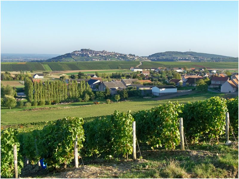 Domaine Michel Thomas & Fils