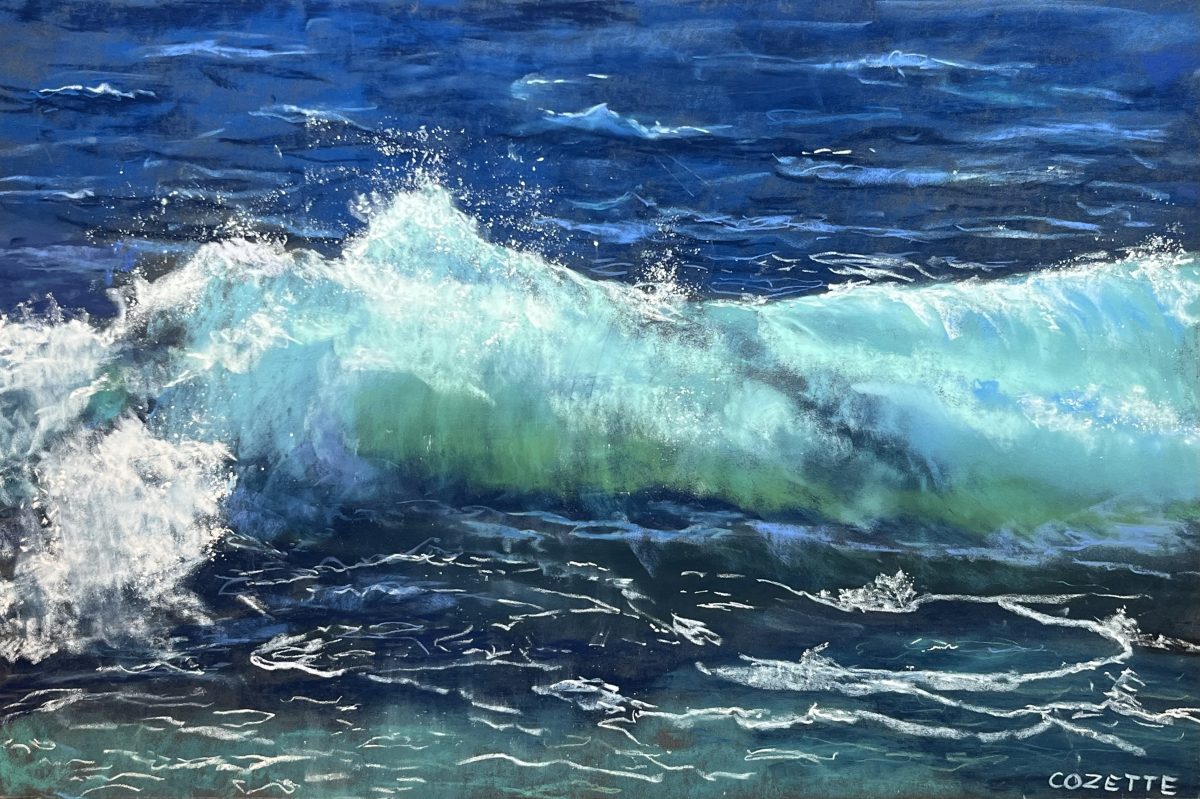 Exposition DUO Terre et Mer