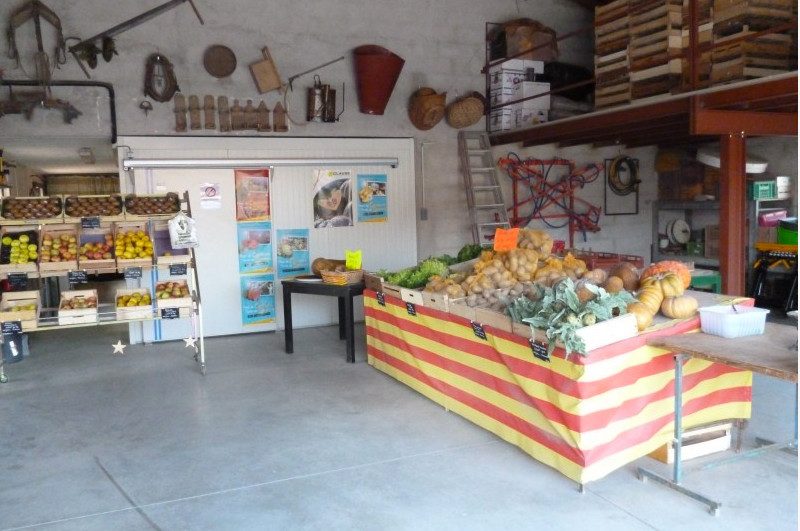 MARAICHAGE FILLOLS - CHEZ BERNARD ET MADO