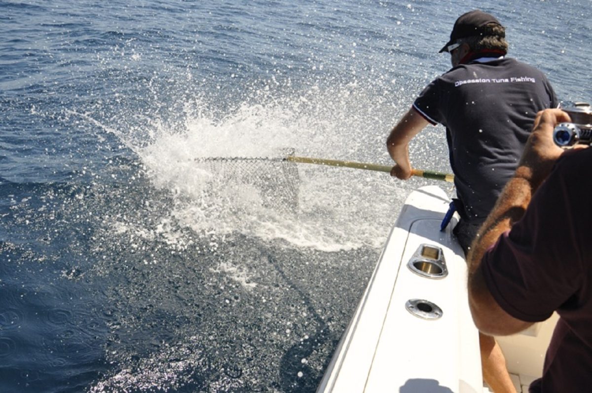 OTF : Obsession Tuna Fishing