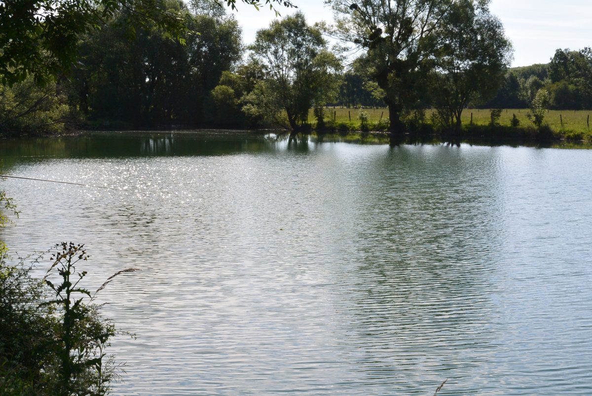 Pêche dans la Tille et l'Ignon