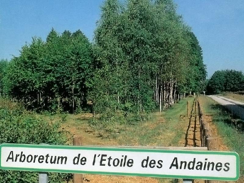 Arboretum de l'Etoile des Andaines