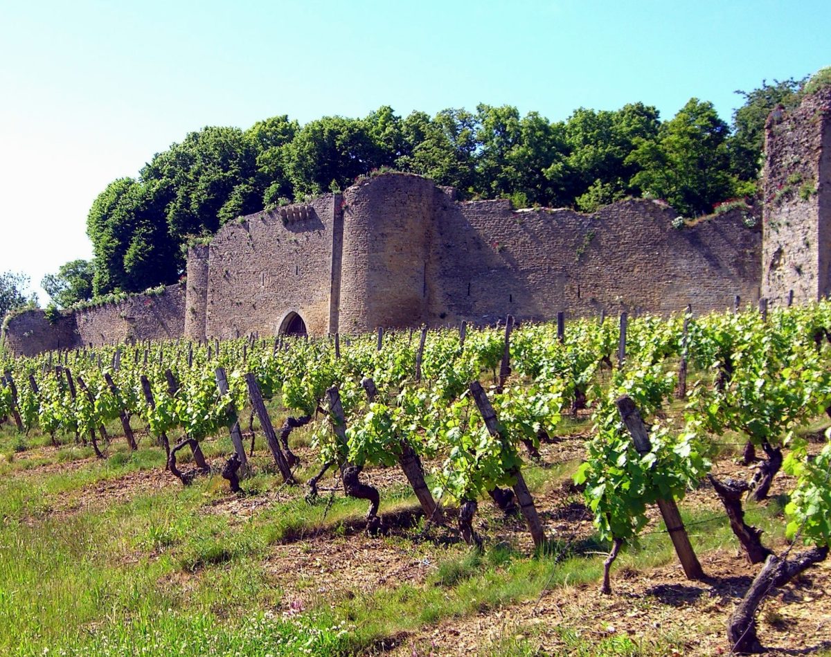 Domaine du Château d'Arlay