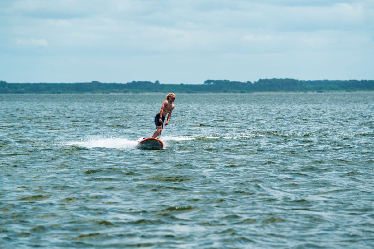 Bisca Glisse Surf Electrique
