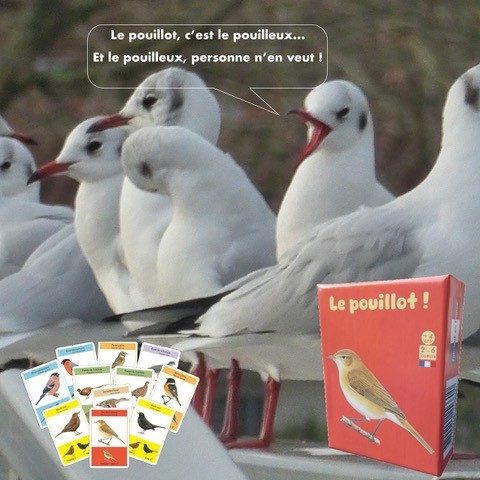 Carrement Jeu